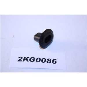 1231405 Ford clip nut plastic